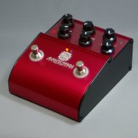 AnalogMan's AnalogDelay ARDX20 Front View